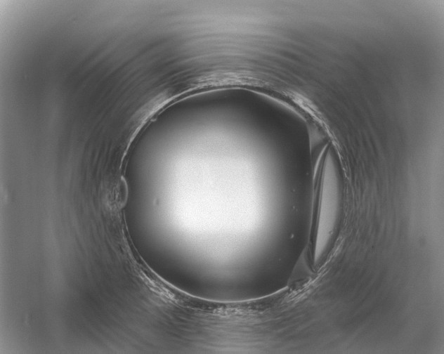 X0000060581089200511171651