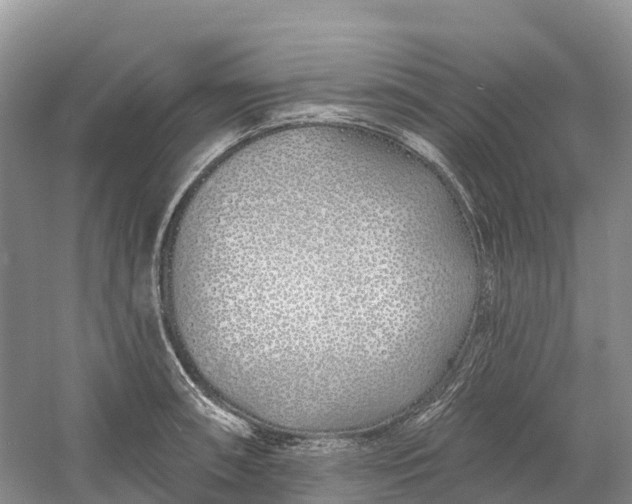 X0000060581090200511171651