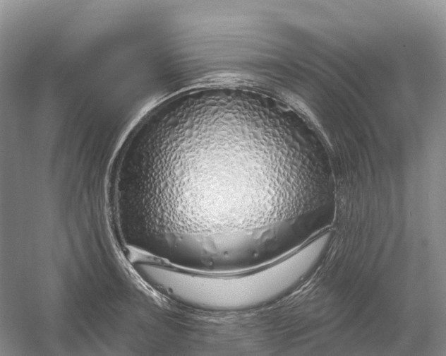 X0000060581091200511171651