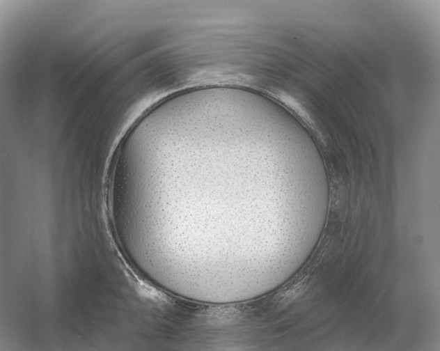 X0000060581094200511171651