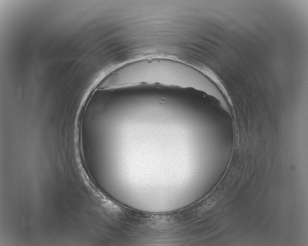 X0000060581096200511171651