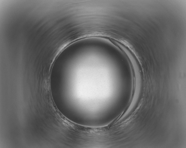 X0000060581097200511171651