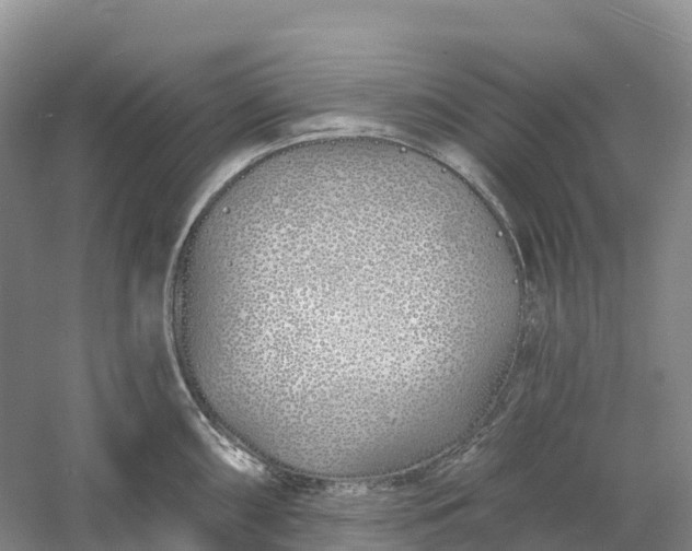 X0000060581098200511171651