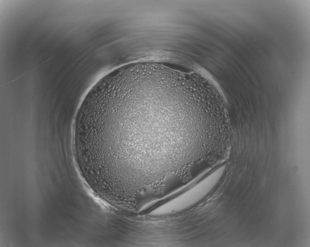 X0000060581099200511171651