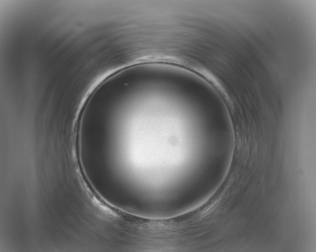 X0000060581102200511171651