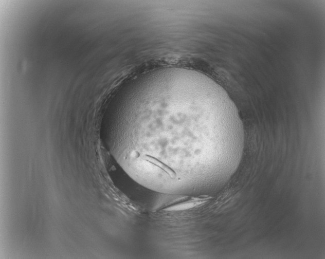 X0000060581105200511171650