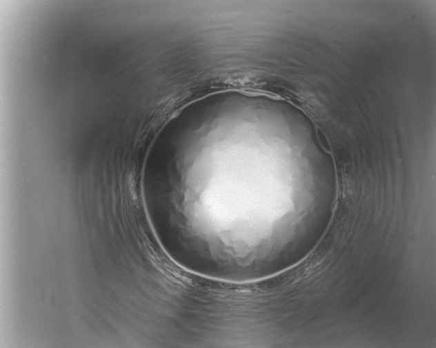 X0000060581106200511171650