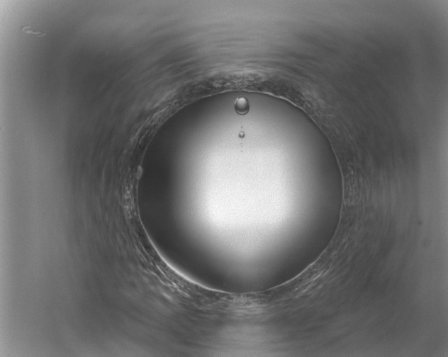 X0000060581109200511171650