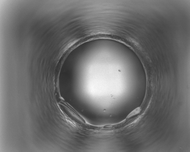 X0000060581113200511171650