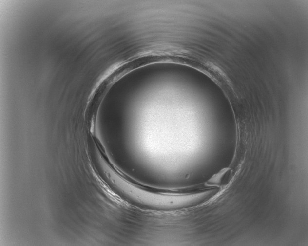 X0000060581114200511171650