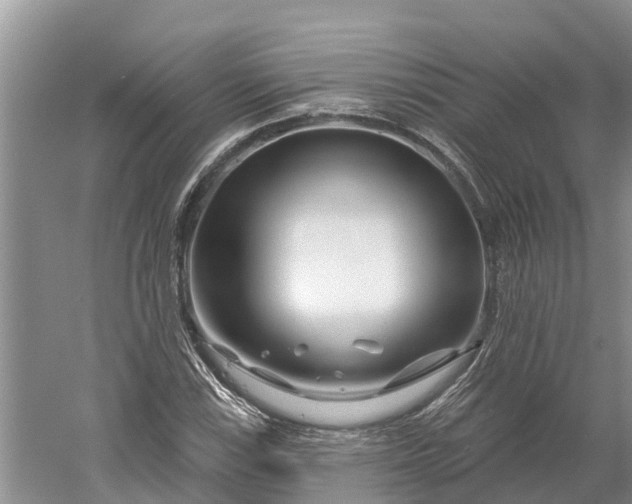 X0000060581115200511171650