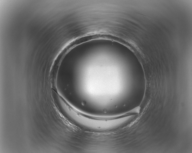 X0000060581118200511171650