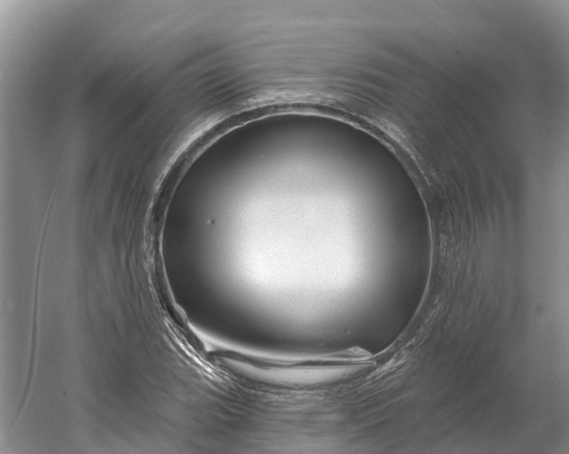 X0000060581119200511171650