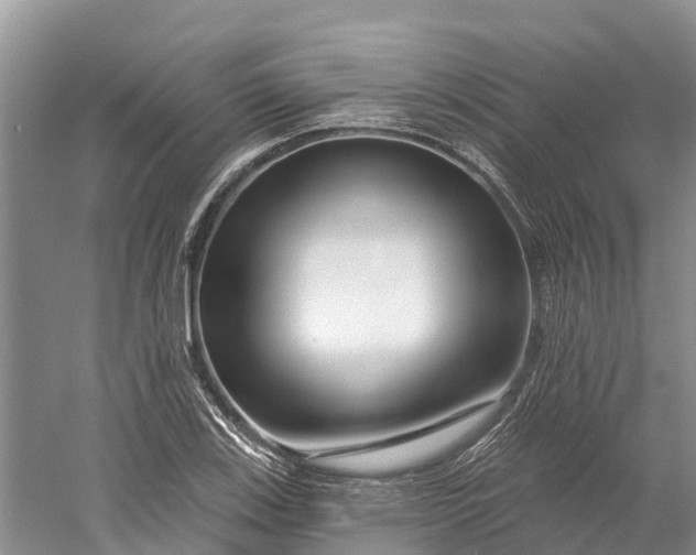 X0000060581123200511171650