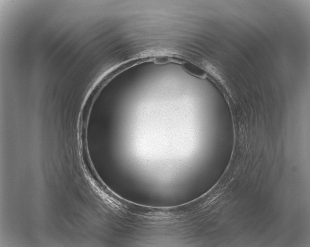 X0000060581124200511171650