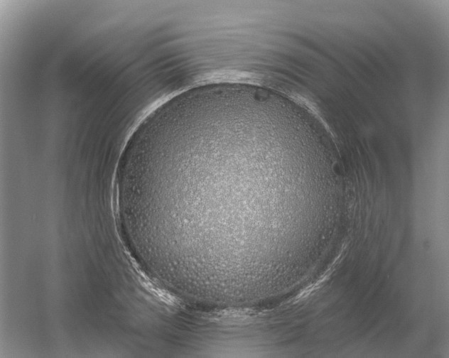 X0000060581125200511171650