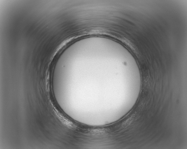 X0000060581126200511171650