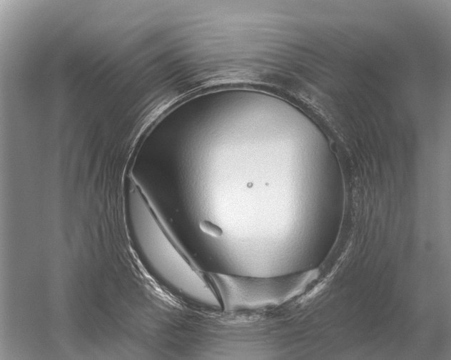 X0000060581129200511171650