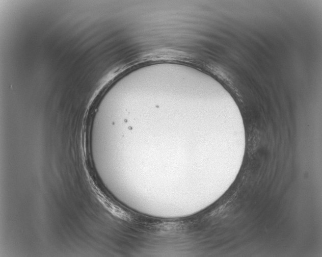 X0000060581130200511171650