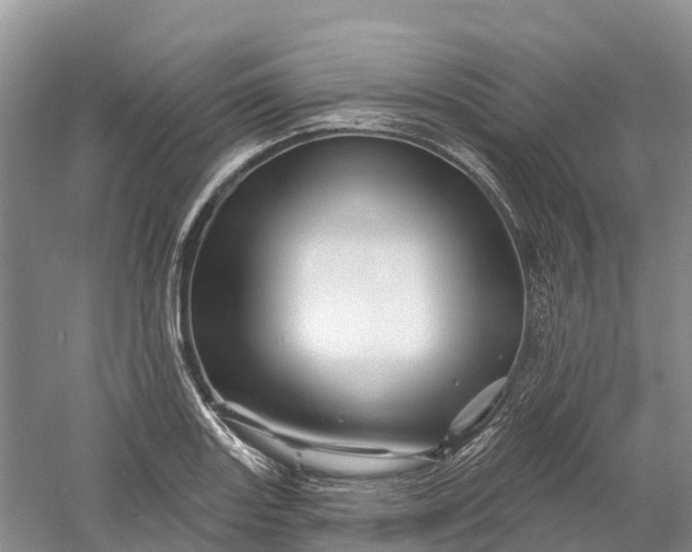 X0000060581131200511171650