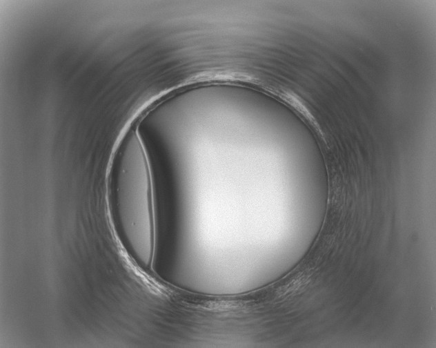 X0000060581132200511171650