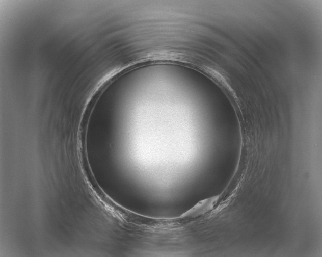 X0000060581133200511171650