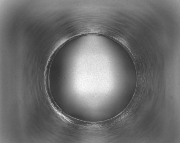 X0000060581135200511171650