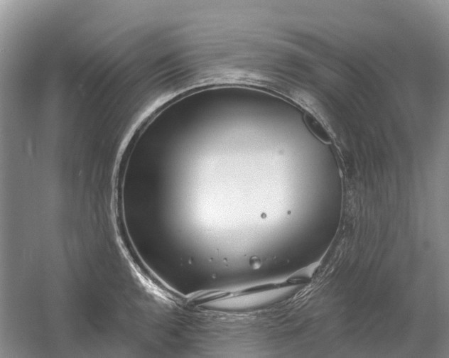 X0000060581136200511171650