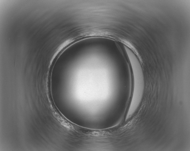 X0000060581138200511171650