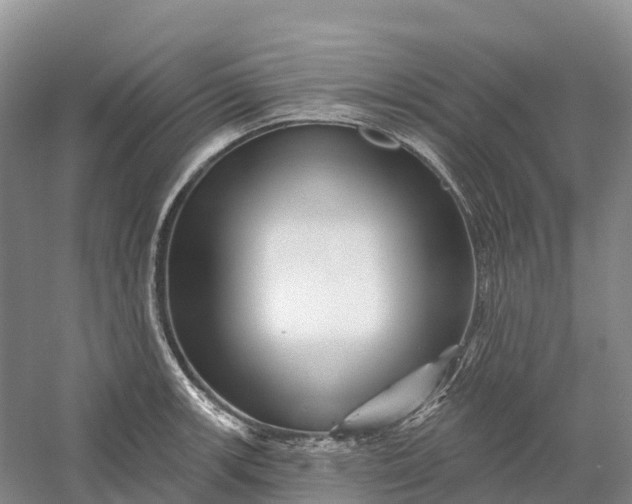 X0000060581139200511171650