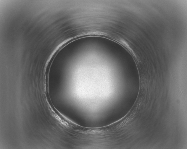 X0000060581140200511171651