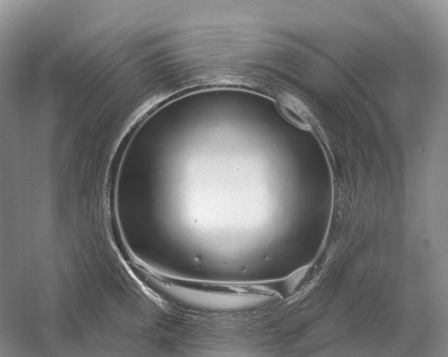 X0000060581141200511171651