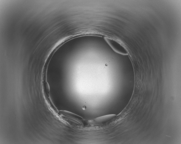 X0000060581142200511171651