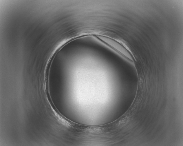 X0000060581143200511171651