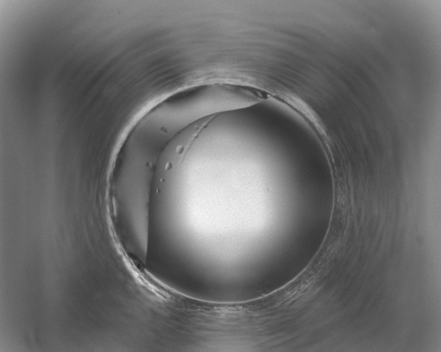 X0000060581144200511171651