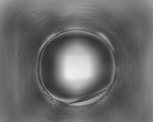 X0000060581146200511171651