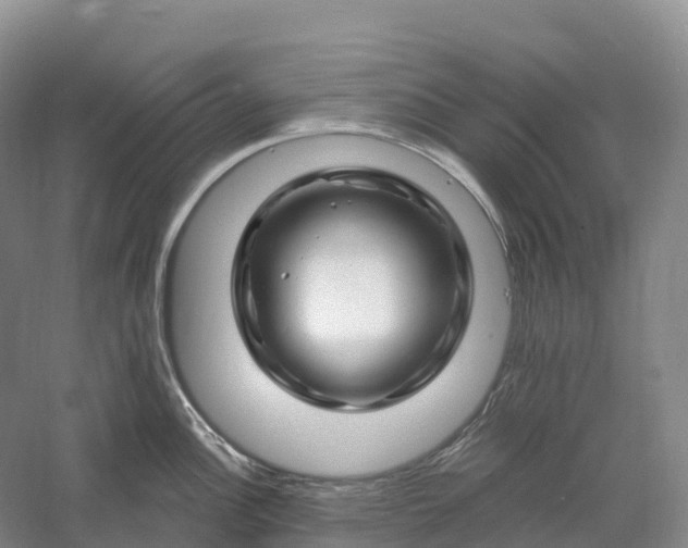 X0000060581148200511171651