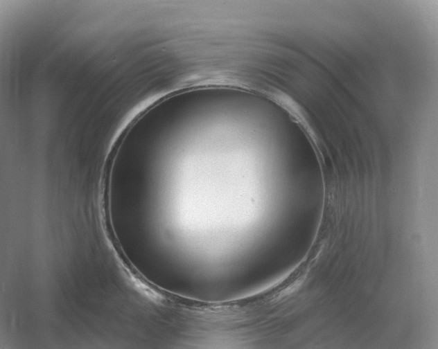 X0000060581149200511171651