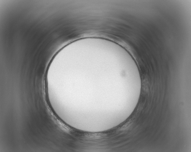 X0000060581150200511171651