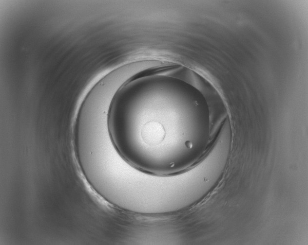 X0000060581152200511171651