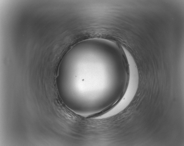 X0000060581153200511171650