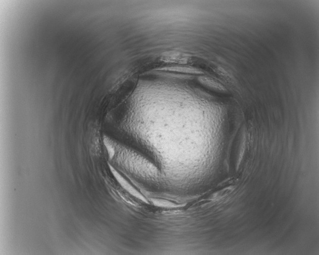 X0000060581154200511171650