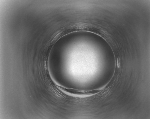 X0000060581155200511171650