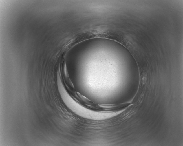 X0000060581156200511171650