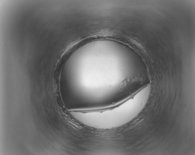 X0000060581160200511171650