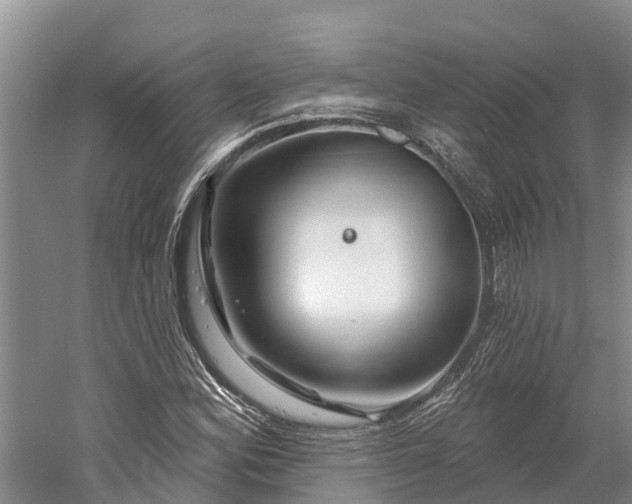 X0000060581164200511171650