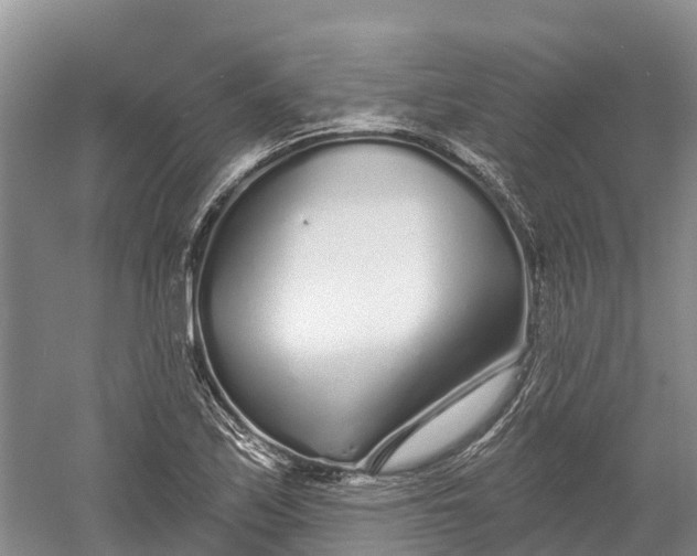 X0000060581171200511171650