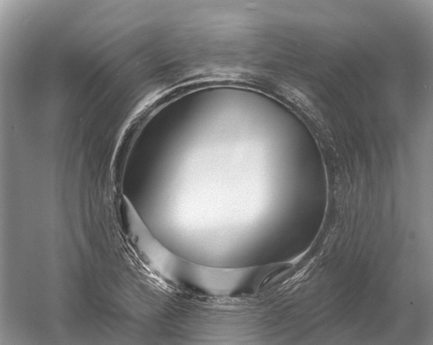 X0000060581172200511171650