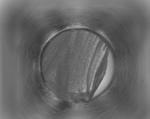 X0000060581173200511171650