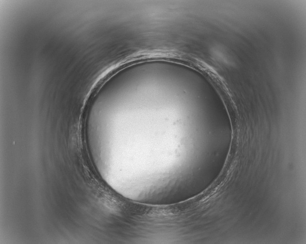 X0000060581174200511171650